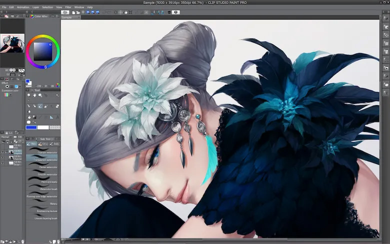 software de regalo con las tabletas Wacom Intuos Pro