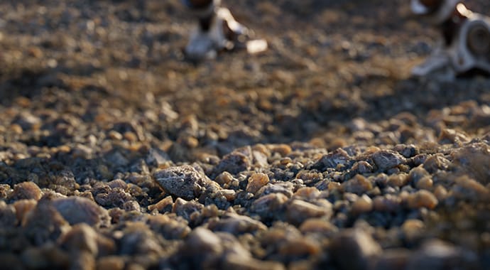 V-Ray para 3ds Max - icreatia