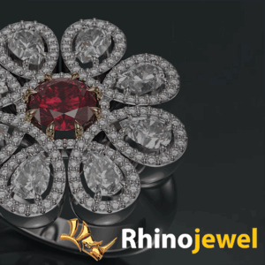 RhinoJewel para universidades