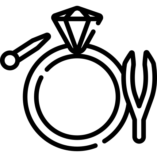 RhinoJewel 8